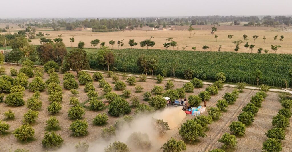 Aerial view of lush agricultural fields in Punjab, showcasing farming machinery at work.